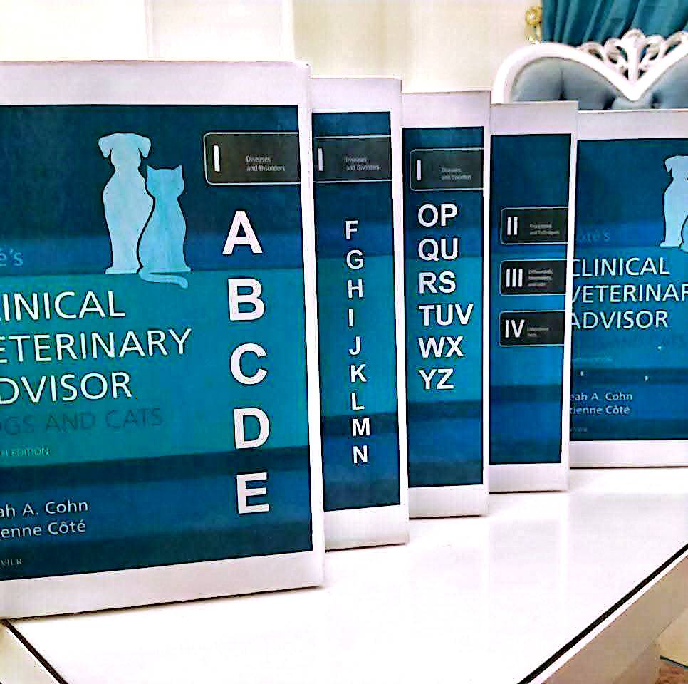 الاكثر مبيعا